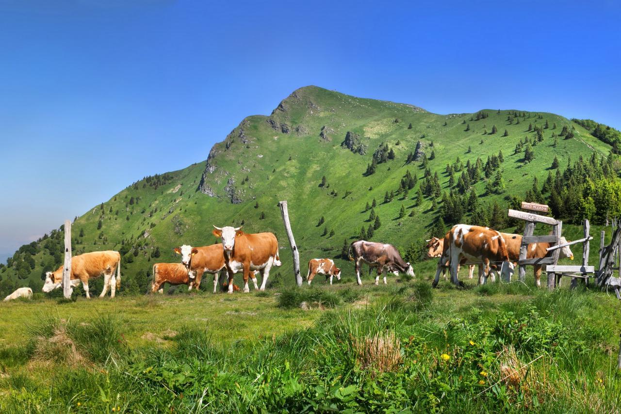 A Pousada Prenocisca Cerkno Exterior foto