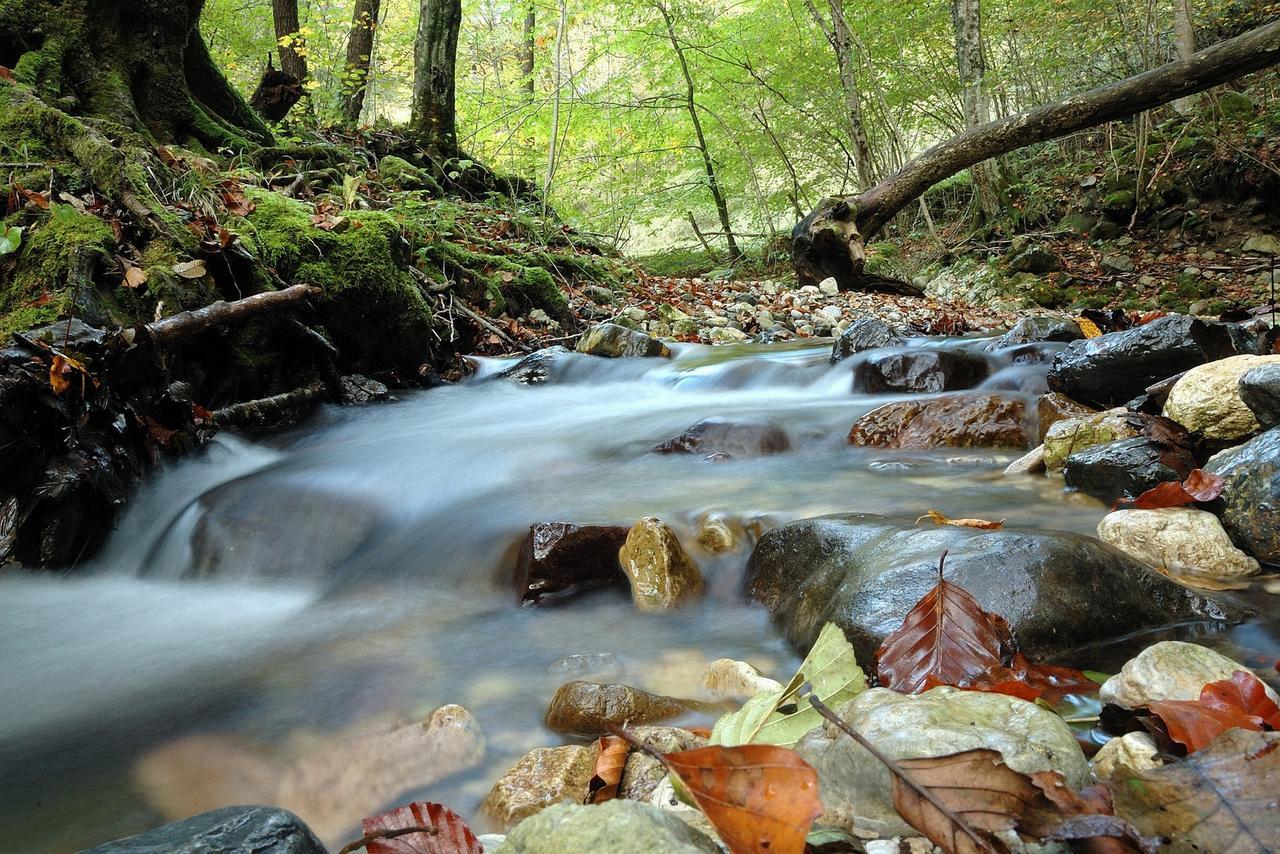 A Pousada Prenocisca Cerkno Exterior foto